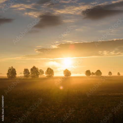 Sonnenaufgang im Naturpark Westhavelland in Brandenburg