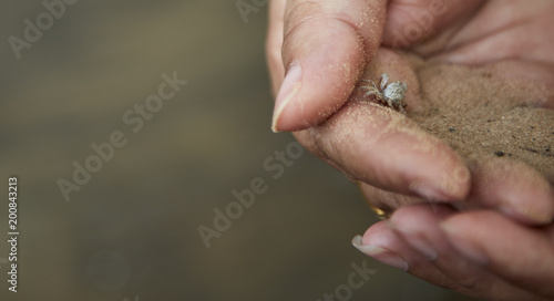 Small crab in the hand
