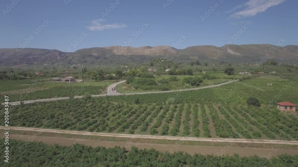 4K ungraded Aerial view of olive tree field in Zakynthos Zante island, in Greece - Log 4K ungraded Aerial view of olive tree field in Zakynthos Zante island, in Greece - Log