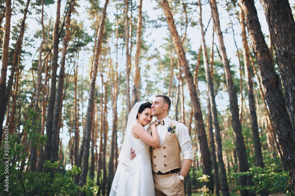 Beautiful newlyweds standing in the woods and hugging each other. Summer wedding. Stylish bride and groom outdoors. Beautiful newlyweds standing in the woods and hugging each other. Summer wedding. Stylish bride and groom outdoors.