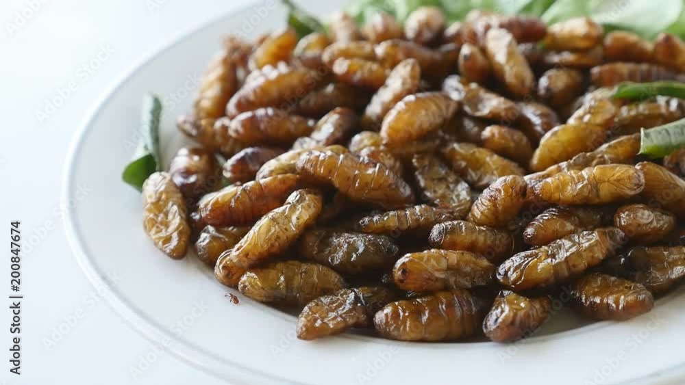 Close up of Fried insects in dish. Protein rich food Close up of Fried insects in dish. Protein rich food