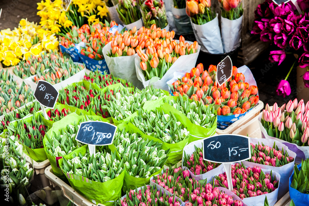 Φωτογραφία Bouquets of tulips on flower market in Amsterdam city, Netherlands