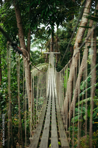 Empty wooden suspension bridge in jungle