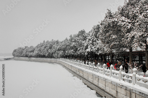 The road is covered with snow in winter snowy forest.