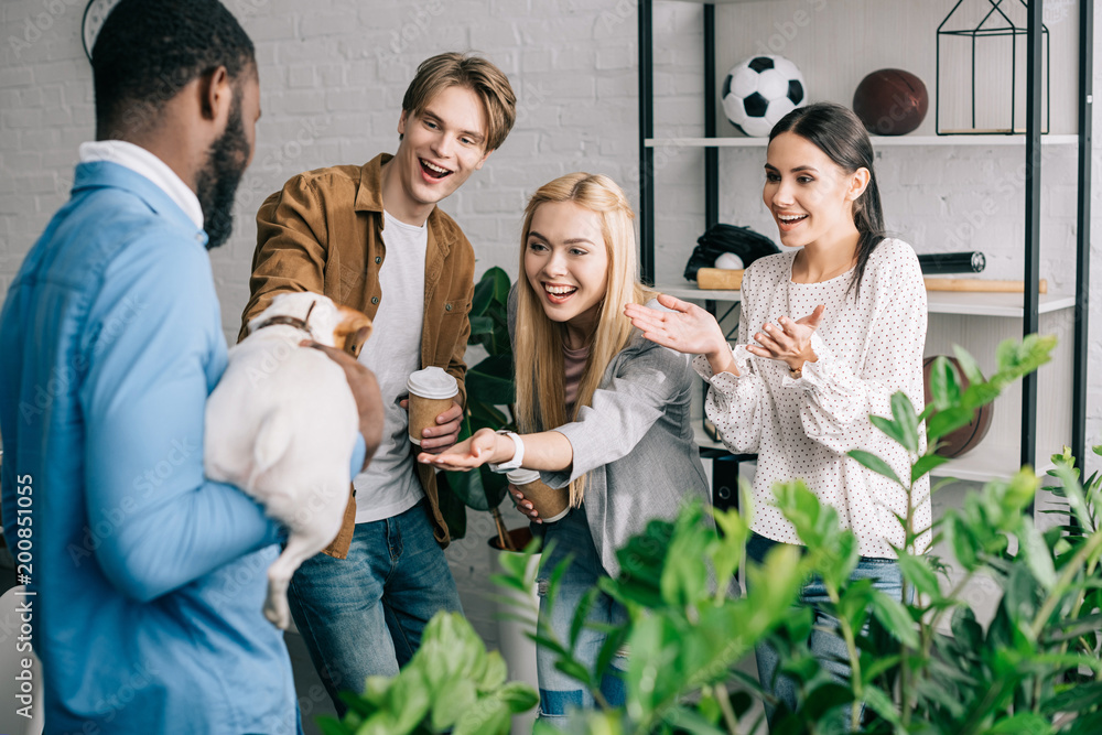 smiling business coworkers touching dog on hands of african american businessman smiling business coworkers touching dog on hands of african american businessman