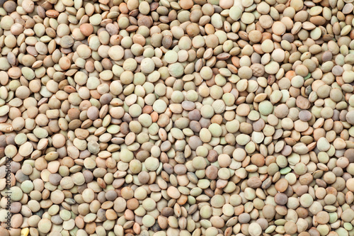 Natural organic lentils. Food background.