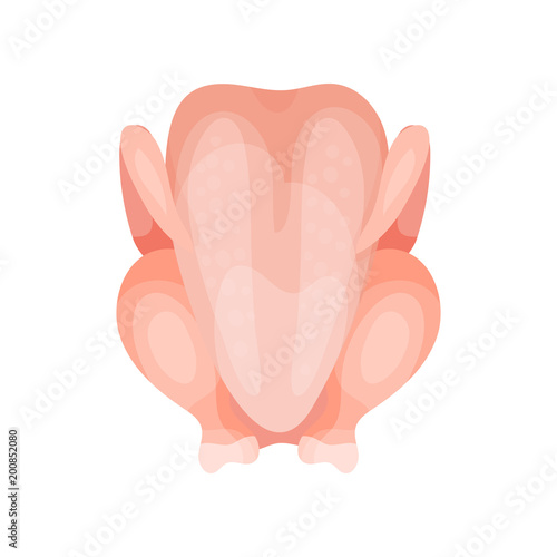 Fresh raw chicken vector Illustration on a white background