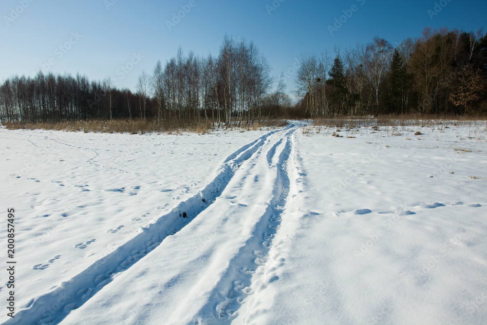 Dirt road covered with snow and a forest