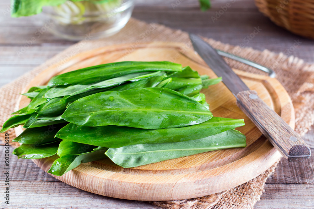 Leaves ramson or wild garlic on a cutting board Leaves ramson or wild garlic on a cutting board