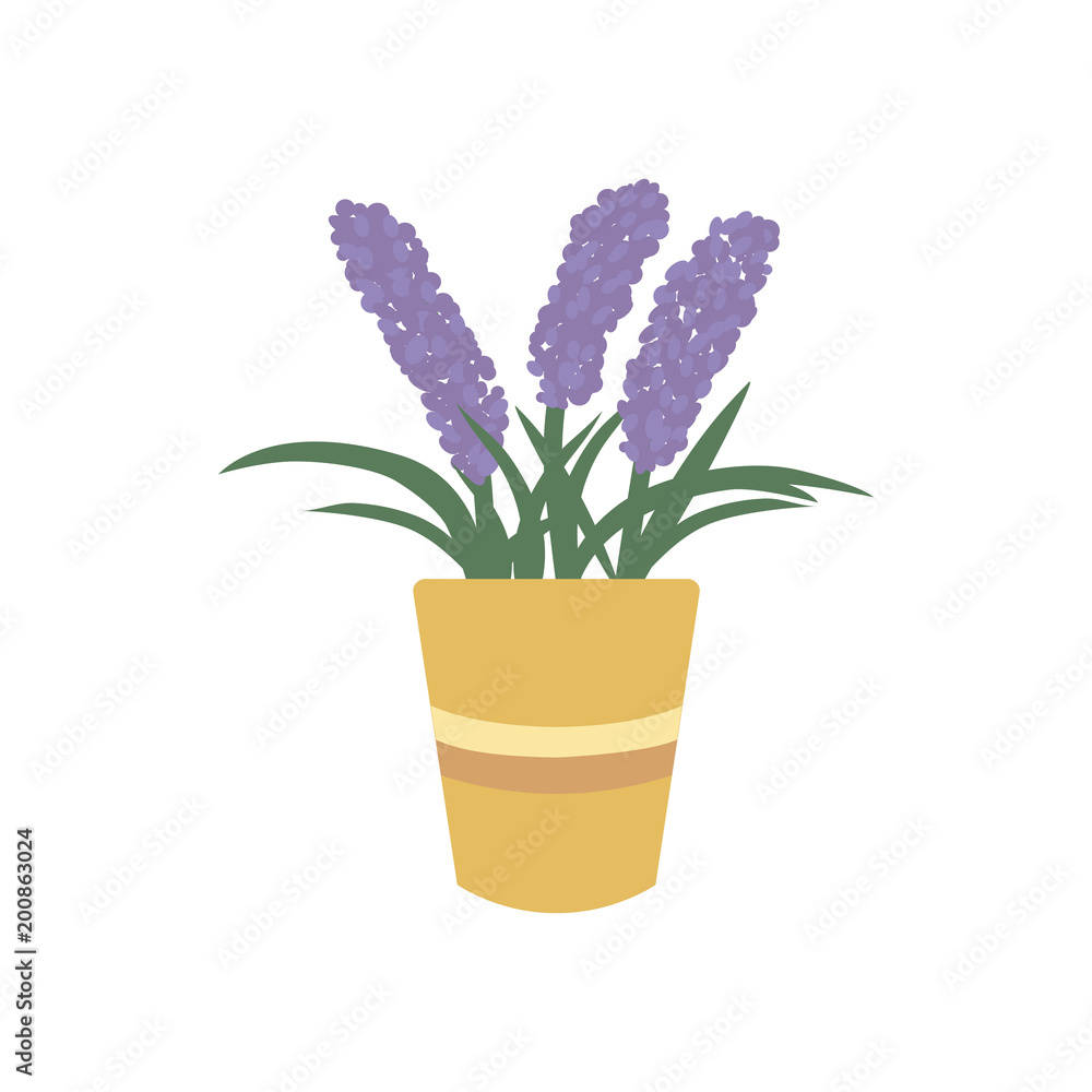 Lavender in flower pot icon. Blooming fragrant violet flowers or herb in pot. Provence floral vector illustration isolated on white.