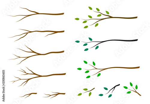 set of tree branches with green leaves