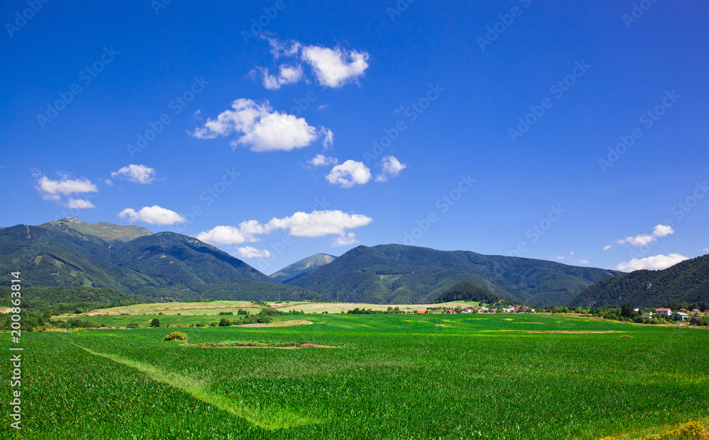 Obraz premium Beautiful landscape with a green field and the blue sky