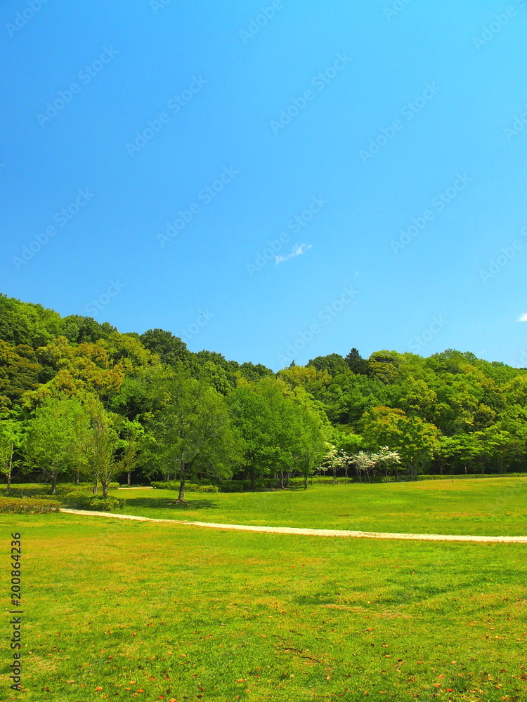 小道のある草原と林風景