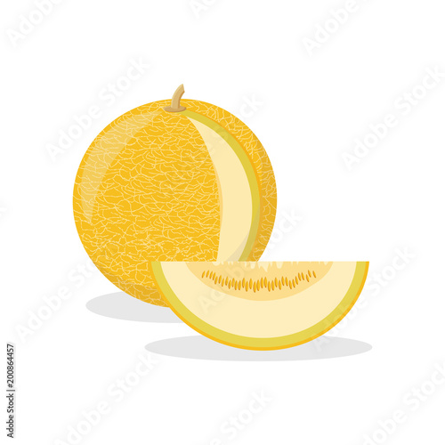 ripe yellow melon with a cut piece