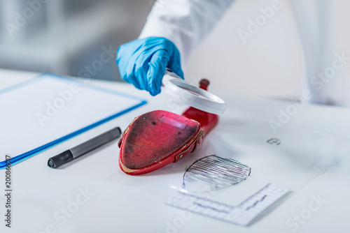 Forensic science expert examining objects from a crime scene photo