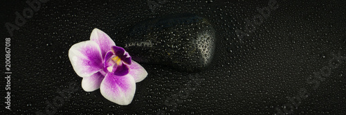Pink orchid with black stone and water drops on black background