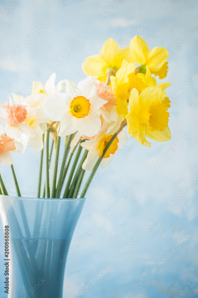 flowers of daffodils of different kinds in a blue vase on a blue background. A heady aroma of spring.
