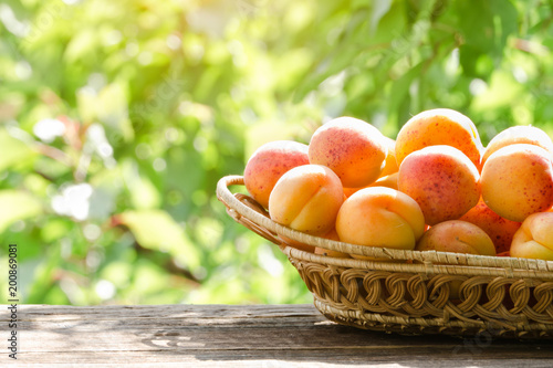 Fototapeta Naklejka Na Ścianę i Meble -  Wicker basket apricot on a green background. Daylight