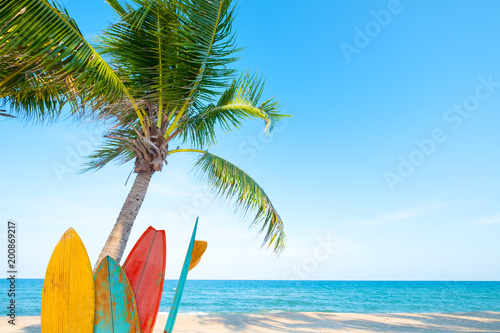 Photography Vintage surf board with palm tree on tropical beach in summer.