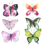 set of colorful watercolor illustrations of butterflies