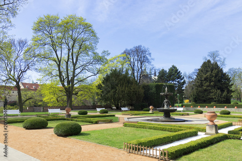 Photography The beautiful decorative garden with many trees shortly after sunrise, spring sunny day