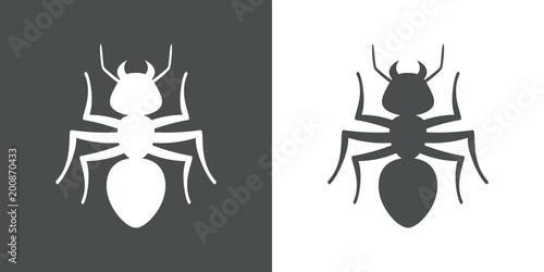 Icono plano hormiga en gris y blanco