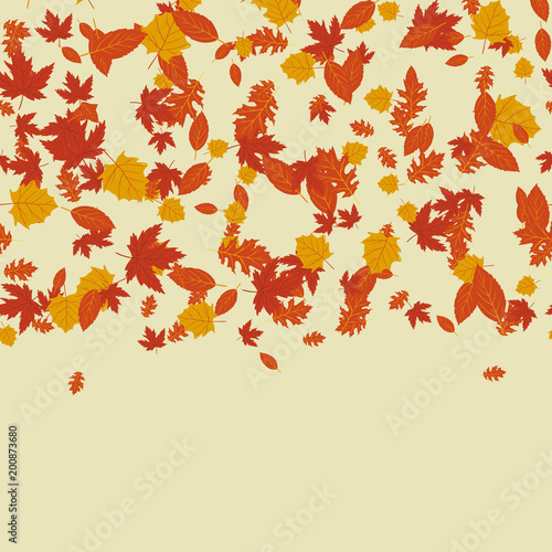 Wallpaper Mural Autumn frame with leaves. Vector. Torontodigital.ca