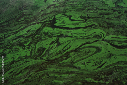 abstract green pattern on the water