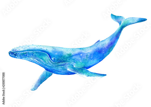 Big Blue Whale .Watercolor hand drawn illustration.Underwater animal art. White background.