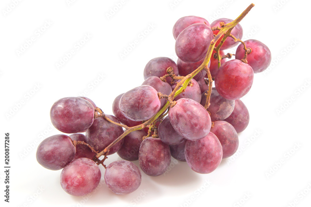 Red grape bunch, wine grapes isolated on white background, healthy fruit, Food concept. Red grape bunch, wine grapes isolated on white background, healthy fruit, Food concept.
