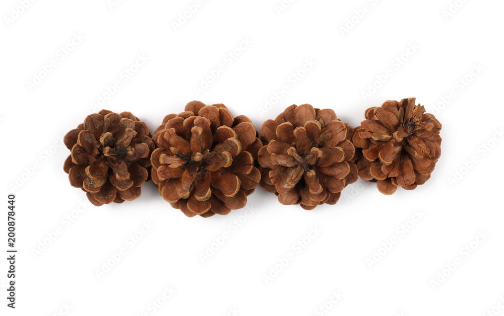 Pine cones isolated on white background, top view Pine cones isolated on white background, top view