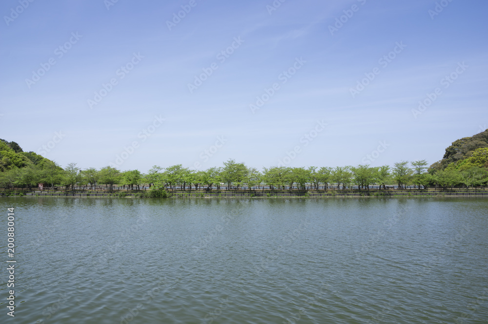新緑の風景(香川県亀鶴公園) 新緑の風景(香川県亀鶴公園)