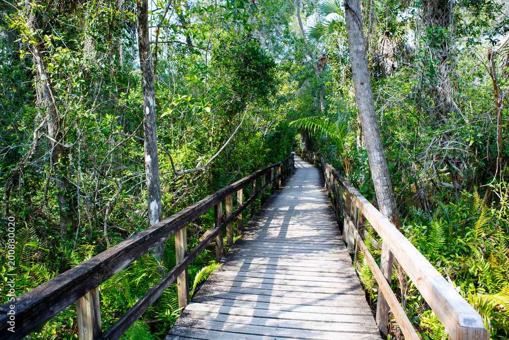 Florida wetland, wooden path trail at Everglades National Park in USA. Florida wetland, wooden path trail at Everglades National Park in USA.