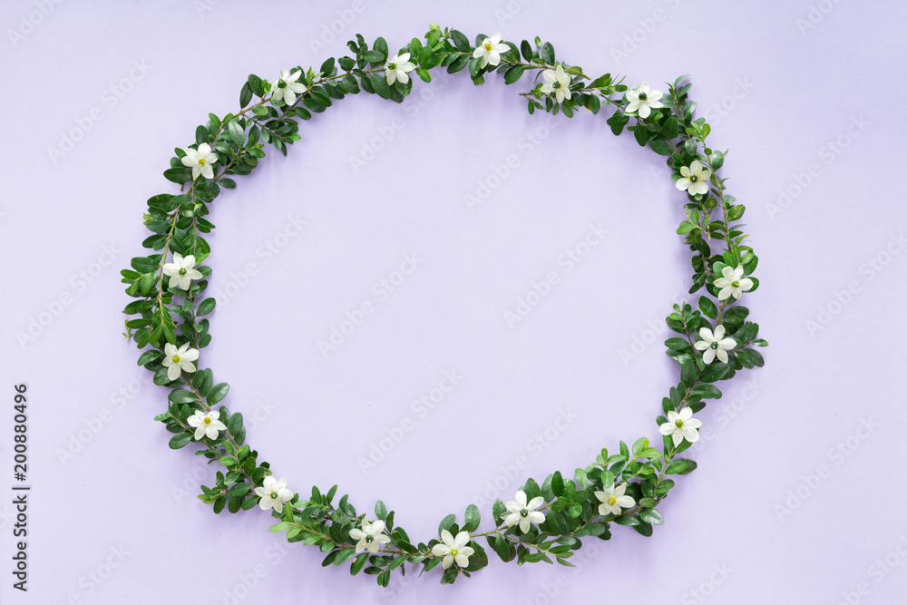 Top view of flower frame isolated on white background, flat lay Top view of flower frame isolated on white background, flat lay