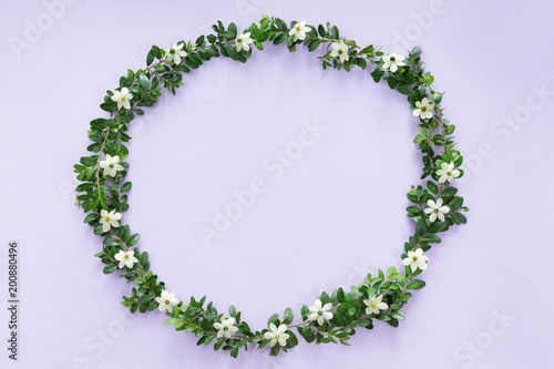 Top view of flower frame isolated on white background, flat lay