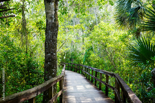 Florida wetland, wooden path trail at Everglades National Park in USA.