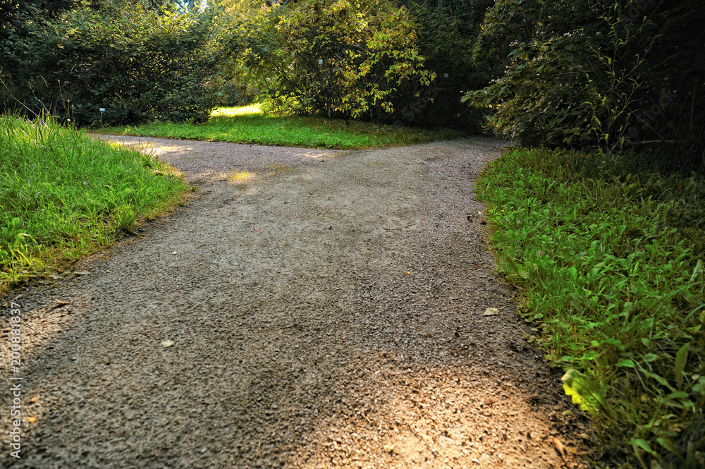 Obraz premium Alleys in the park. Crossroads alleys in the public park in summer season.