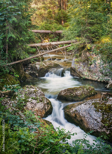 Summer landscape. Mountain stream.