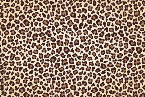 Leopard fur print, horizontal texture with dark borders. Vector