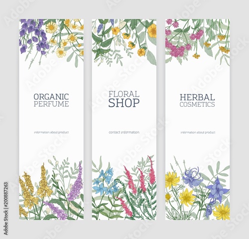 Set of vertical banners decorated with blooming wild flowers, beautiful flowering meadow herbs and place for text on white background. Vector illustration for natural products advertisement, promo.