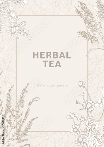 Flyer or poster template decorated with blooming wild meadow flowers and flowering herbs hand drawn with contour lines on light background