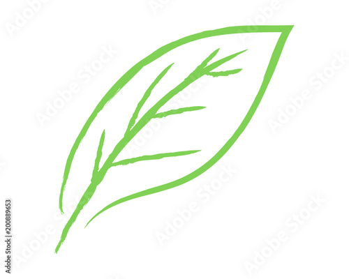 Leaf brush sketch vetor illustration