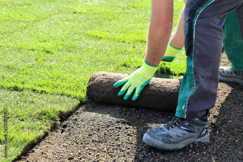 Quadro em tela Rollrasen wird verlegt (Laying rolled turf)