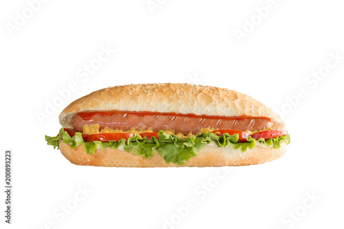 Hot dog sandwich on white background