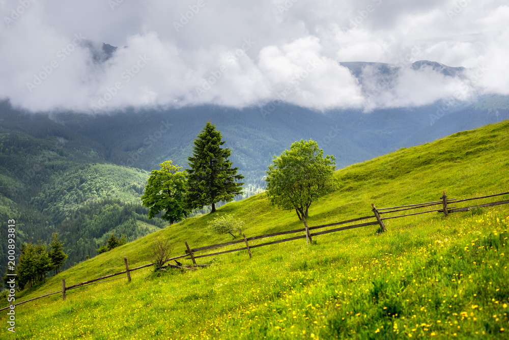 Landscape of a mountain hill at daytime. Mountain landscape in summer with cumulus clouds.