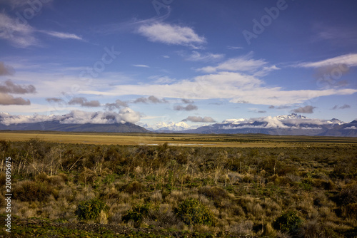 Patagonian Field and Snowcapped Andes Mountains