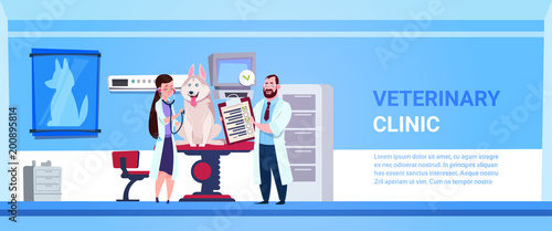 Vet Doctors Examining Dog In Clinic Office Veterinary Medicine Concept Banner With Copy Space Flat Vector Illustration