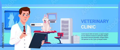 Veterinarian Doctor Examining Dog In Clinic Office Veterinary Medicine And Animal Care Concept Flat Vector Illustration