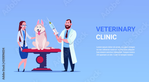 Veterinarian Doctors Examining Dog Vet Clinic And Veterinary Medicine Concept Flat Vector Illustration