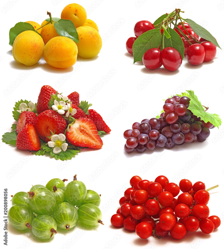 Fruit Fruit
